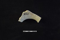 陶罐藏品圖，第2張